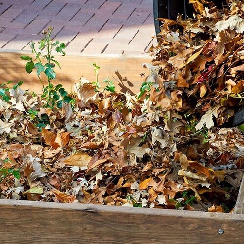 Способы использования опавшей листвы