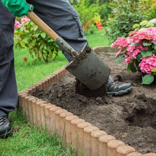 Почва для гортензии – как правильно подкислить грунт